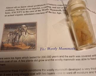 Wooley mammoth fur