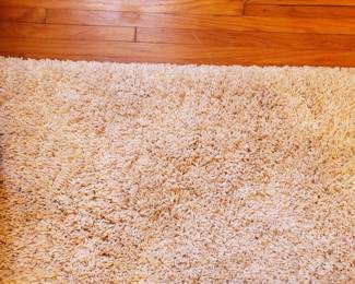 A close look at the area rug