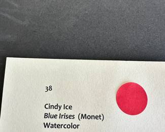 #12 - $90.00  -Water color blue Irises signed Cindy Ice 21 x 17