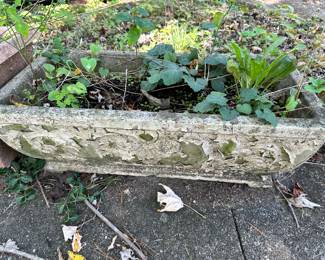 concrete planter