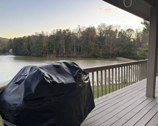 Gas grill with cover