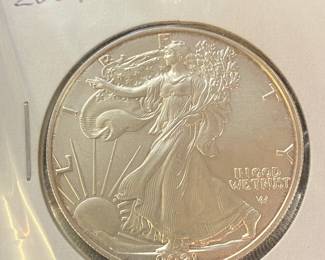 2021 Silver Eagle