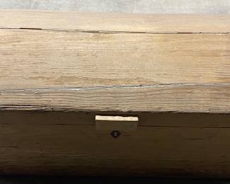 Primitive Trunk