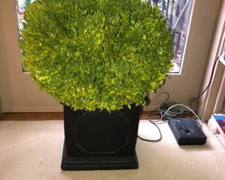1 of 2 dried topiary in ceramic containers