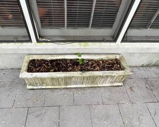 Concrete Planter 