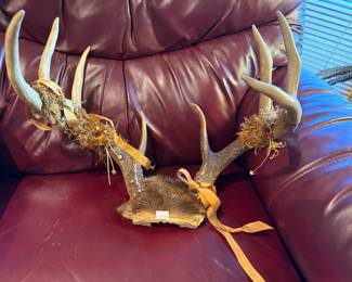 Deer antlers, La-Z-Boy recliner chair