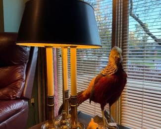 Stiffel bouillotte lamp, Beswick lion,Pheasant taxidermy
