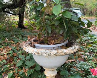 Metal Planter
