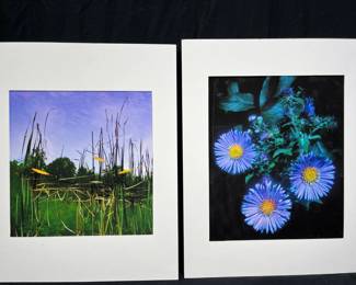 2 KJ Edwards Matted Floral Prints