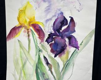Eddie Edwards Bearded Iris Water Color