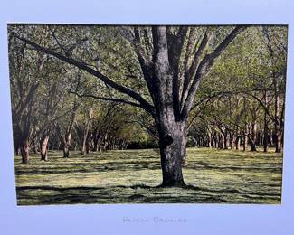 4 Matted Photographs by Eddie Edwards