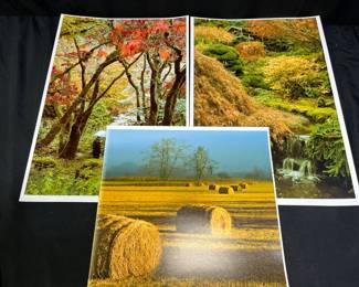 3 Landscape Photographs