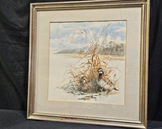 Unsigned Quail Watercolor Painting