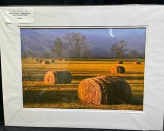 C. Eddie Edwards Transylvania Morning Photograph