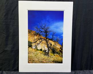 Eddie Edwards Natures Drama Matted Photograph