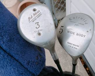 Golf Clubs in Bag