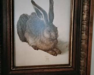 Vintage Albrecht Dure "Young Hare" Print