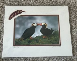 Kissing Puffins