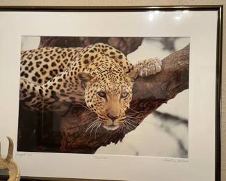 "Leopard" by Christine Dellosso, limited edition photography
