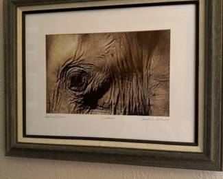 "Sad and Wise" original photo by Christine Dellosso