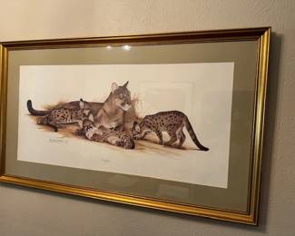 "Eastern Cougar" by Richard Evans Younger, offset print