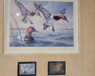 James Megar Framed Canvasback Stamp.