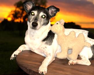  the Pea, relaxing on the Savana with her camel buddy (oh my gosh, MOM, get it right.. it's the African Plains!  And cut my toenails!!!!!)