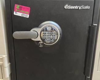 Sentry Digital Safe