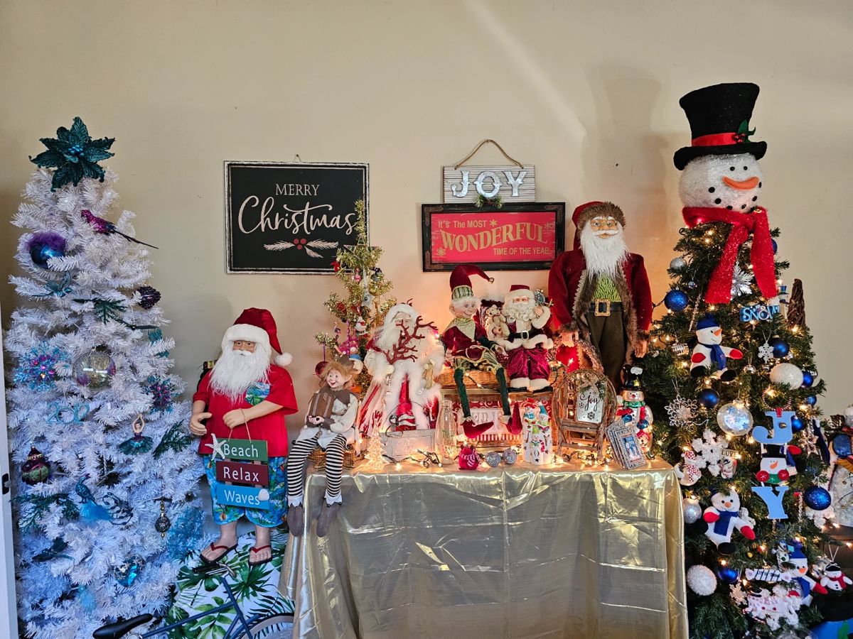 Christmas trees and decorations 