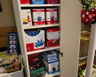 New Christmas lights 