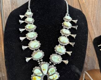 squash blossom palamino