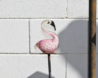 flamingo