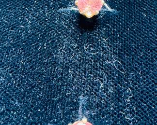 Pink tourmaline 14 K stud earrings