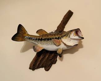 Taxidermy Largemouth Bass Mount