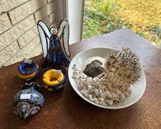Shells, Coral
