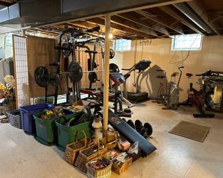 baskets, Pro-Form XP 590S Treadmill, Sole SB700 Exercise Bike, Pair of 30 lb Hex Barbells, Pair of 40 lb Hex Barbells, Pair of 50 lb Hex Barbells, Glass Lightning Insulators

