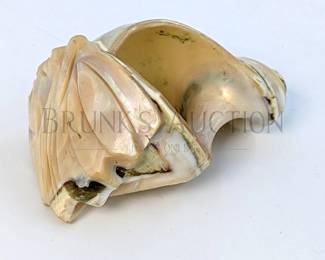 LARGE CARVED SEASHELL - NATIVE CHIEF (1) LARGE CONCH SEASHELL WITH A NATIVE TRIBAL CHIEF CARVED INTO THE MOTHER OF PEARL....