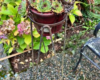Potted Hens & Chicks Plant, Plant Stand