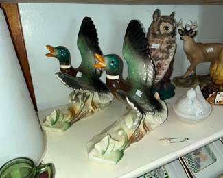 Ducks, owls & deer -- OH MY!