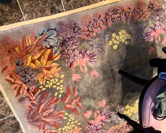 One of many beautiful Rugs