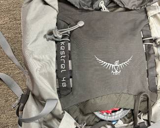 Kestrel 48 back pack