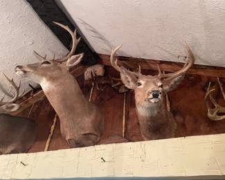 . . . two of several racks