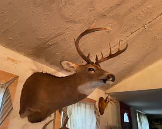 . . . nice trophy puck