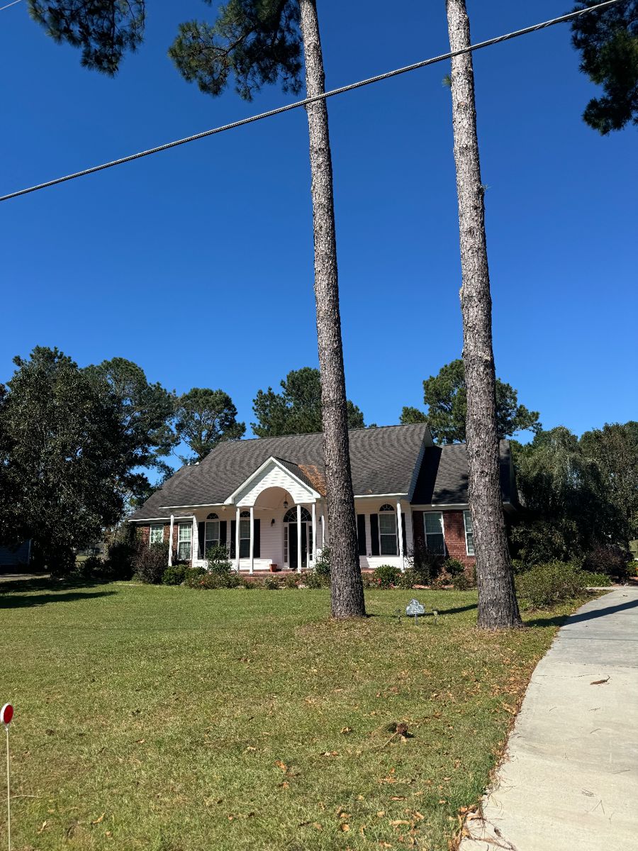 Waters living estate sale of Linda Stuley starts on 10/25/2024