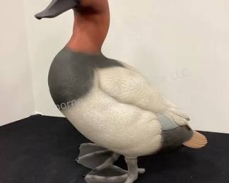 Ducks Unlimited Canvasback