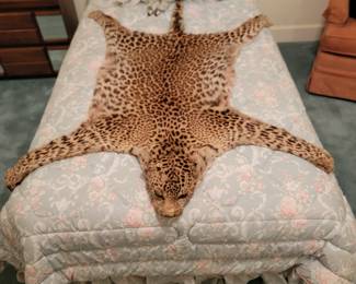 1950's Cheetah Pelt and Twin Bed