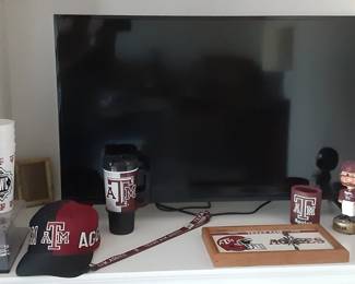 Vizio TV and Aggie Decor