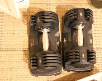 Flybird adjustable weights