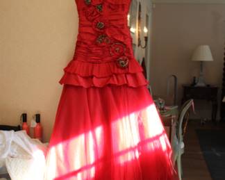 Fancy gown!