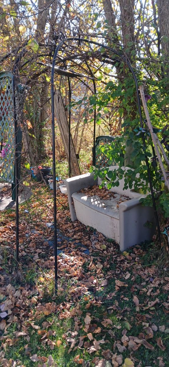 Packed Canton Estate Sale! starts on 10/24/2024